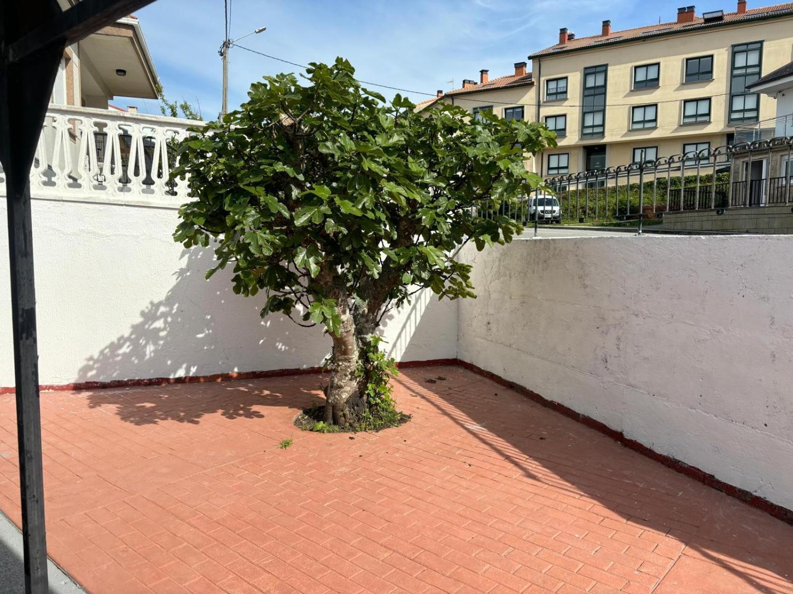 Casa De La Nina,Chalet Familiar Con Gran Terraza فينيستيري المظهر الخارجي الصورة